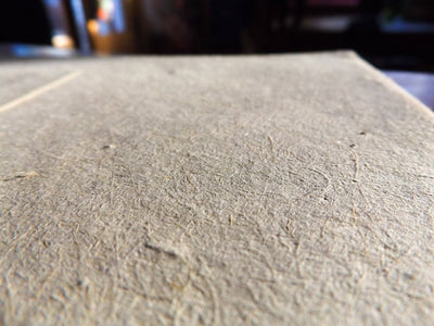 Plantable Seed Card || Modern|| Supports Women ||