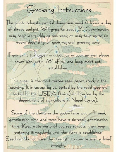 Plantable Seed Card ||Blue|| Supports Women