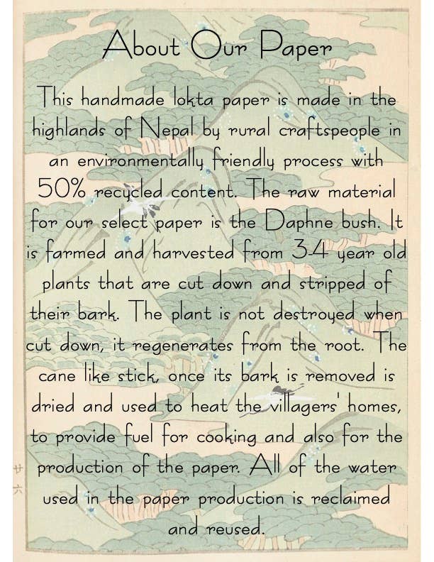 Plantable Seed Card '"Thank you"| Supports Women