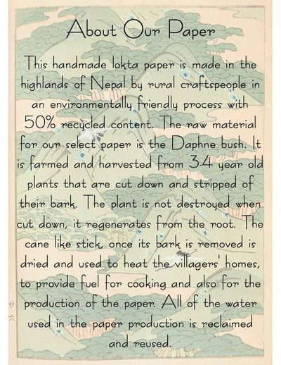 Plantable Seed Card || Global || Supports Women