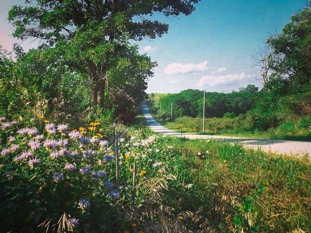 Plantable Seed Card ||Blue|| Supports Women