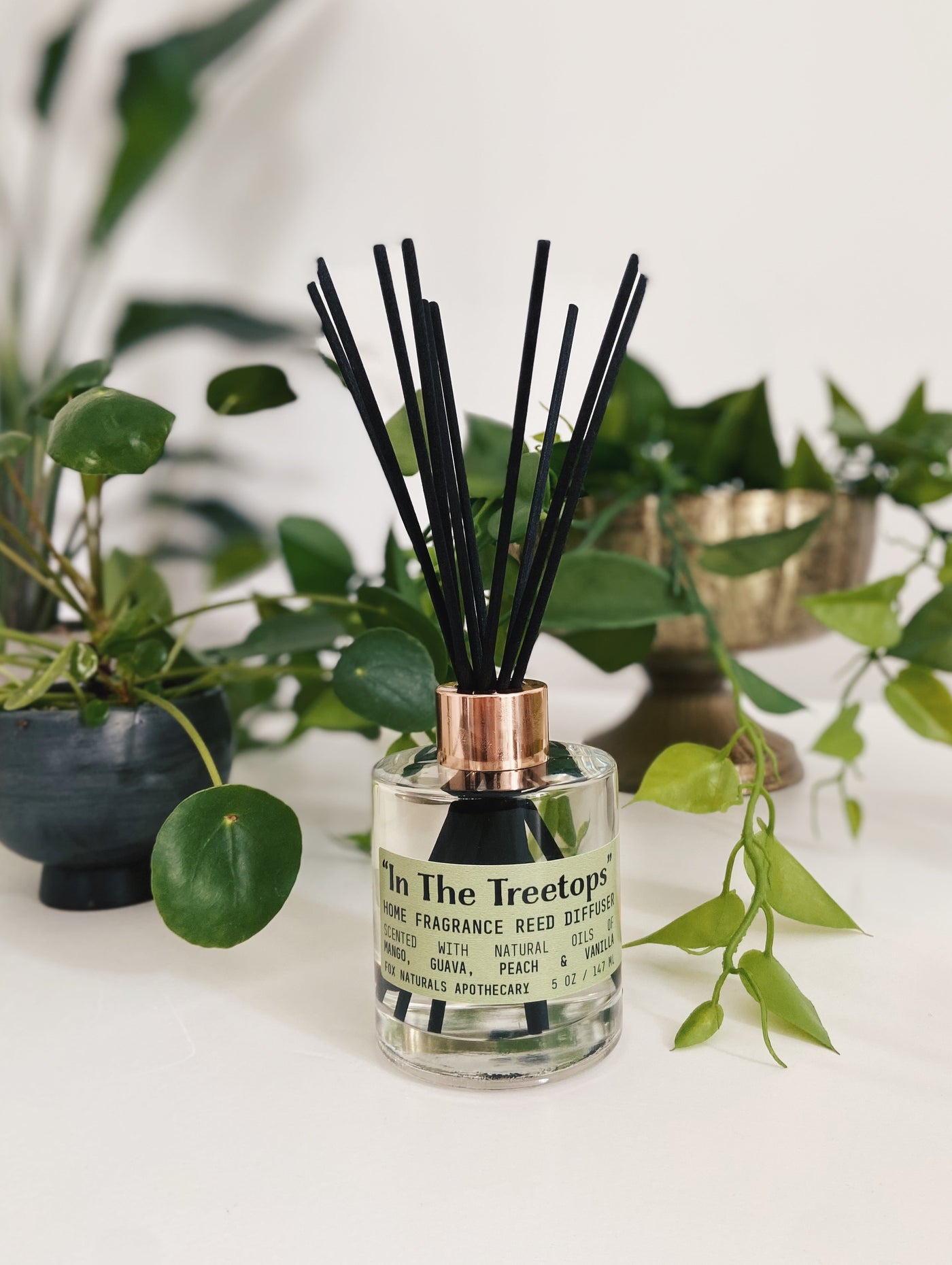 "In the Treetops" Reed Diffuser