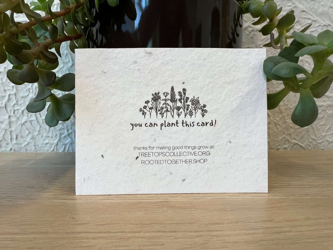 Cross-Cultural Connections Gift Card