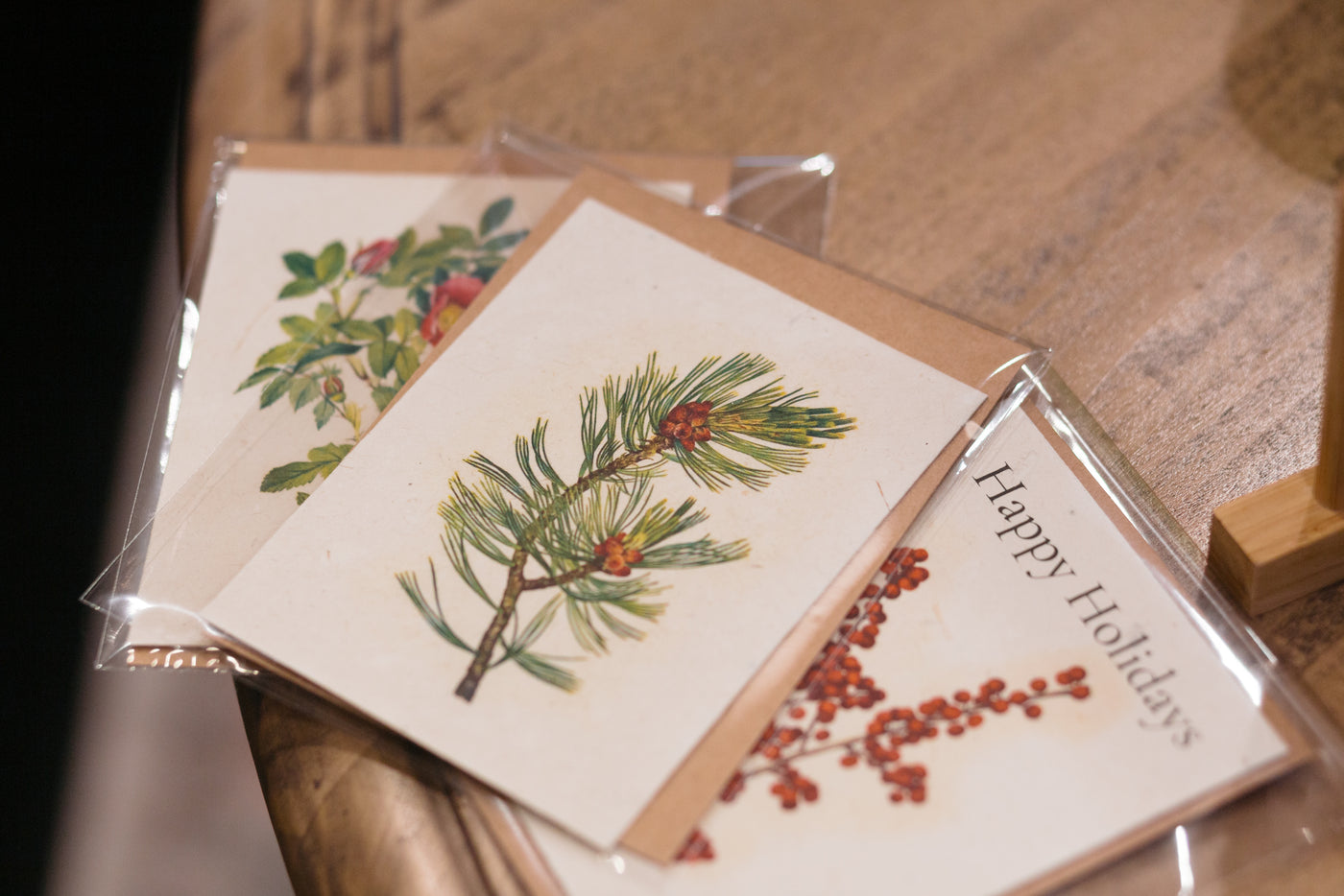 Plantable Seed Card |Whitebark|| Supports Women