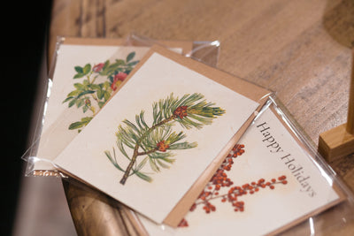 Plantable Seed Card |Whitebark|| Supports Women