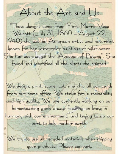 Plantable Seed Card '"Thank you"| Supports Women